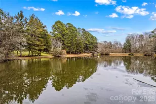 131 Morrison Hill Rd, Davidson, NC 28036 - Photo 46