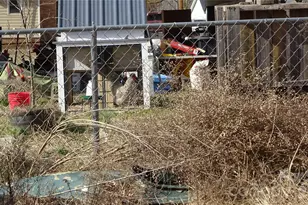 110 Crest St, Belmont, NC 28012 - Photo 20