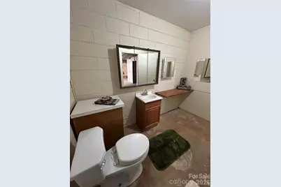 757 Carrigan Road, Taylorsville, NC 28681 - Photo 24