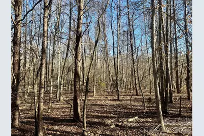 99999 River Crest Parkway, Rutherfordton, NC 28139 - Photo 10