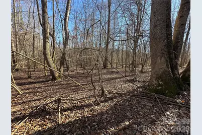 99999 River Crest Parkway, Rutherfordton, NC 28139 - Photo 16