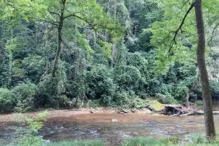 000 Moonshine Trail, Hendersonville, NC 28792 - Photo 1