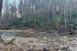 000 Moonshine Trail, Hendersonville, NC 28792 - Photo 1