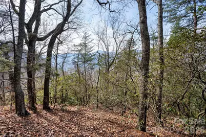 0 Rachel Ridge, Lake Lure, NC 28746 - Photo 4