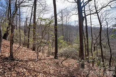 0 Rachel Ridge, Lake Lure, NC 28746 - Photo 10