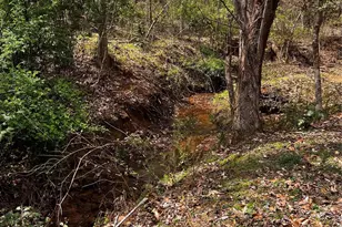 0000 Cemetery Loop, Bethlehem, NC 28601 - Photo 1