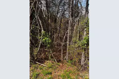 0000 Cemetery Loop, Bethlehem, NC 28601 - Photo 2