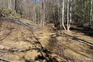 3343 Hollis Rd, Ellenboro, NC 28040 - Photo 46