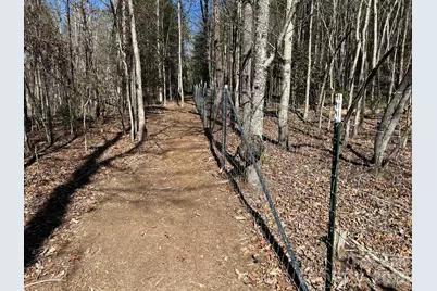 3343 Hollis Road, Ellenboro, NC 28040 - Photo 46