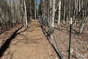 3343 Hollis Rd, Ellenboro, NC 28040 - Photo 46