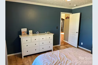 3343 Hollis Road, Ellenboro, NC 28040 - Photo 36