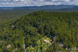 442 Coopers Hawk Dr, Asheville, NC 28803 - Photo 44