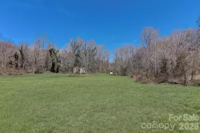 99999 Smokey Park Highway, Candler, NC 28715 - Photo 4