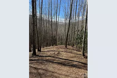 236 Down The Hill Road, Sylva, NC 28779 - Photo 4