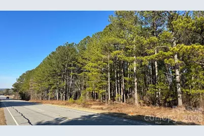0 US Route 1 Highway #Lot 92, McBee, SC 29550 - Photo 2