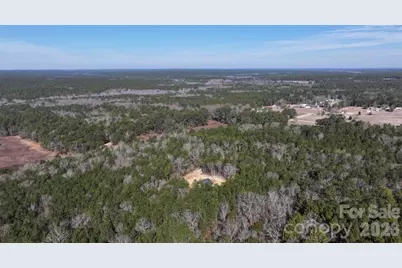 0 US Route 1 Highway #Lot 92, McBee, SC 29550 - Photo 6