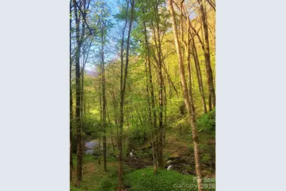 213 Hope Circle, Waynesville, NC 28786 - Photo 4