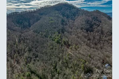 99999 High Top Mountain Road, Leicester, NC 28748 - Photo 12