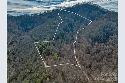 99999 High Top Mountain Road, Leicester, NC 28748 - Photo 4