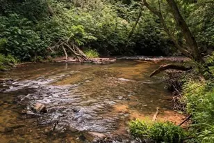 9 & 1 Old Mill Ln, Weaverville, NC 28787 - Photo 10