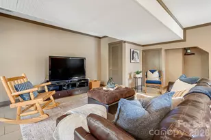 41 Gold Anchor Ln, Black Mountain, NC 28711 - Photo 22