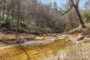 41 Gold Anchor Ln, Black Mountain, NC 28711 - Photo 30