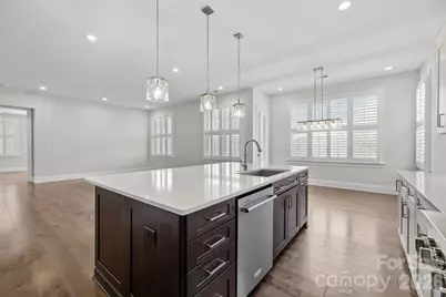 45528 Misty Bluff Drive, Charlotte, NC 28278 - Photo 10