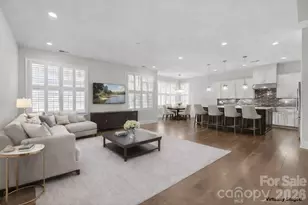 45528 Misty Bluff Dr, Charlotte, NC 28278 - Photo 8