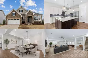 45528 Misty Bluff Dr, Charlotte, NC 28278 - Photo 1