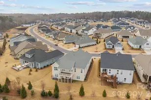 45528 Misty Bluff Dr, Charlotte, NC 28278 - Photo 34