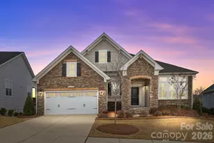 45528 Misty Bluff Dr, Charlotte, NC 28278 - Photo 2