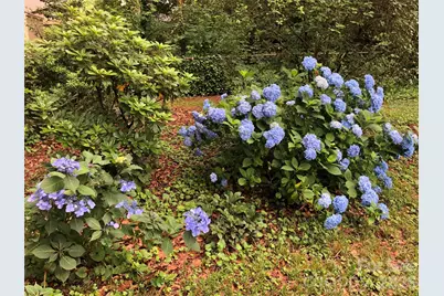 915 Onslow Drive, Greensboro, NC 27408 - Photo 42