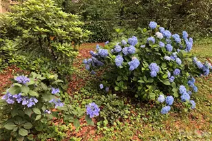 915 Onslow Dr, Greensboro, NC 27408 - Photo 42