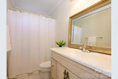 217 Horn Tassel Court, Indian Trail, NC 28079 - Photo 26