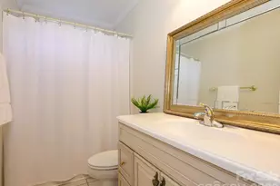 217 Horn Tassel Ct, Indian Trail, NC 28079 - Photo 26