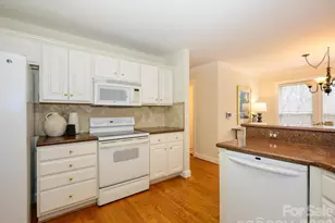 217 Horn Tassel Ct, Indian Trail, NC 28079 - Photo 18