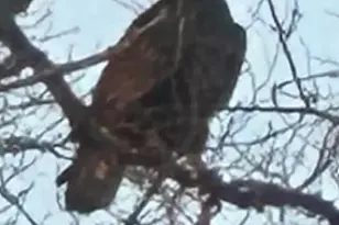 252 N Corner Estates Rd, Lancaster, SC 29720 - Photo 48