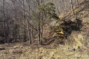 00 Brush Creek Rd, Bryson City, NC 28713 - Photo 10