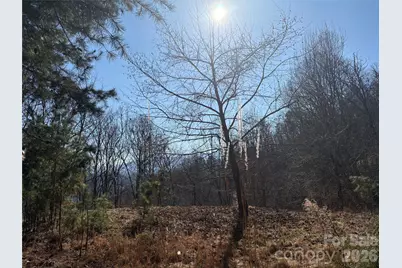 00 Brush Creek Road #41, Bryson City, NC 28713 - Photo 2