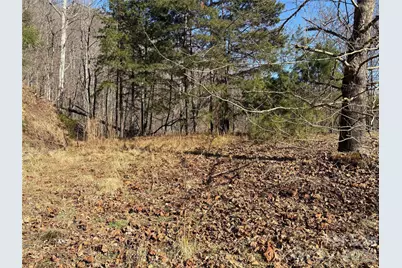 00 Brush Creek Road #41, Bryson City, NC 28713 - Photo 12