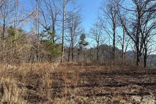 00 Brush Creek Rd, Bryson City, NC 28713 - Photo 1