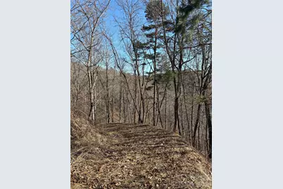 00 Brush Creek Road #41, Bryson City, NC 28713 - Photo 18