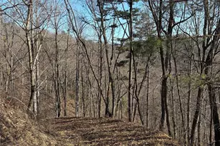 00 Brush Creek Rd, Bryson City, NC 28713 - Photo 18