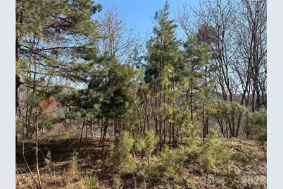 00 Brush Creek Road #41, Bryson City, NC 28713 - Photo 8