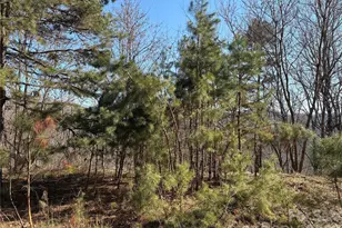 00 Brush Creek Rd, Bryson City, NC 28713 - Photo 8