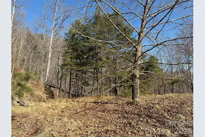 00 Brush Creek Road #41, Bryson City, NC 28713 - Photo 16