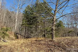 00 Brush Creek Rd, Bryson City, NC 28713 - Photo 16