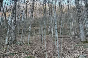 00 Brush Creek Rd, Bryson City, NC 28713 - Photo 22