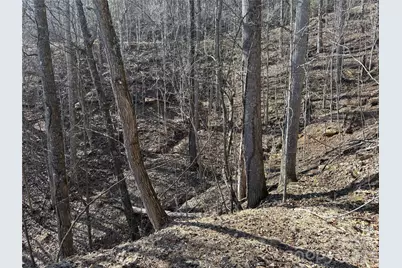 00 Brush Creek Road #41, Bryson City, NC 28713 - Photo 14