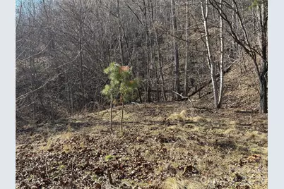 00 Brush Creek Road #41, Bryson City, NC 28713 - Photo 6